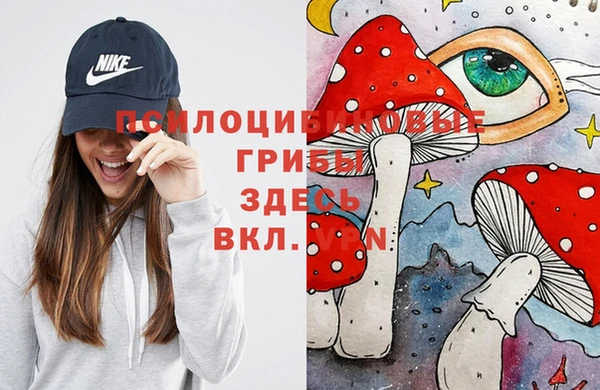 молекула духа Балахна
