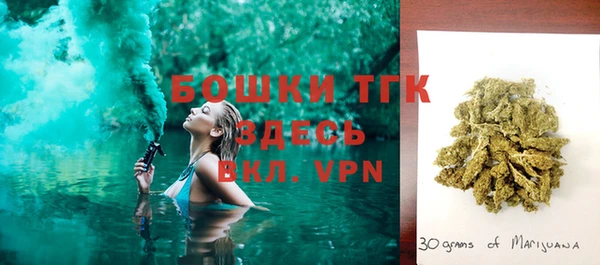 молекула духа Балахна